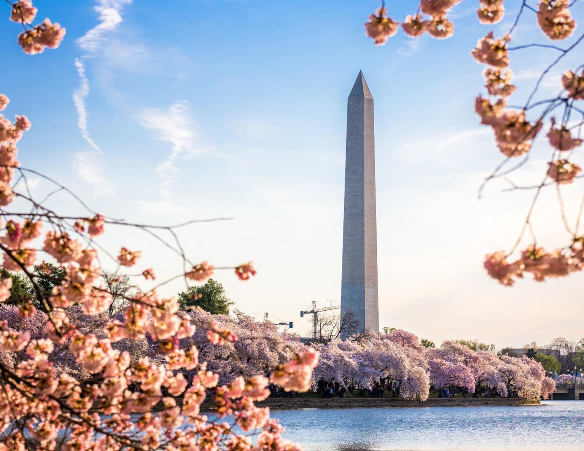 Staybridge Suites Washington D.C. - Greenbelt By Ihg Lanham Zewnętrze zdjęcie